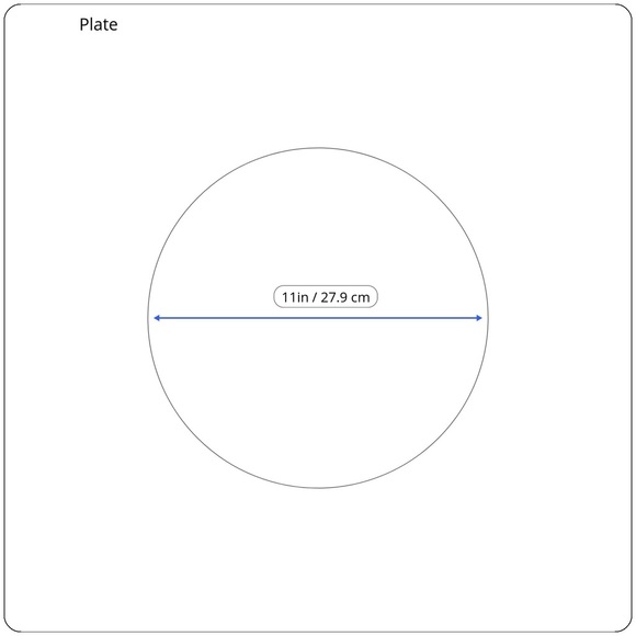 🦚 THOMAS PAUL Aviary Melamine Dinner Plates, set of 4 — VGUC - Picture 8 of 9